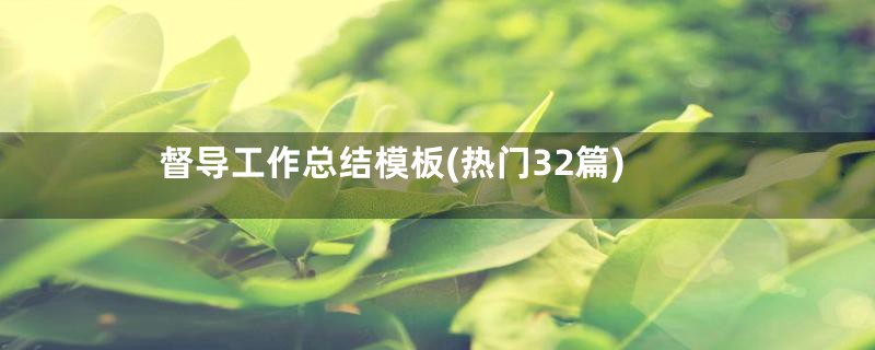 督导工作总结模板(热门32篇)