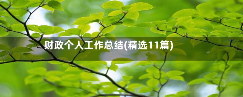 财政个人工作总结(精选11篇)