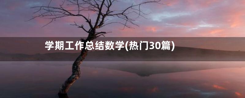 学期工作总结数学(热门30篇)