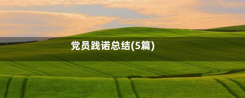 党员践诺总结(5篇)