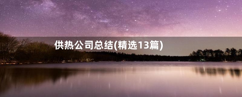 供热公司总结(精选13篇)