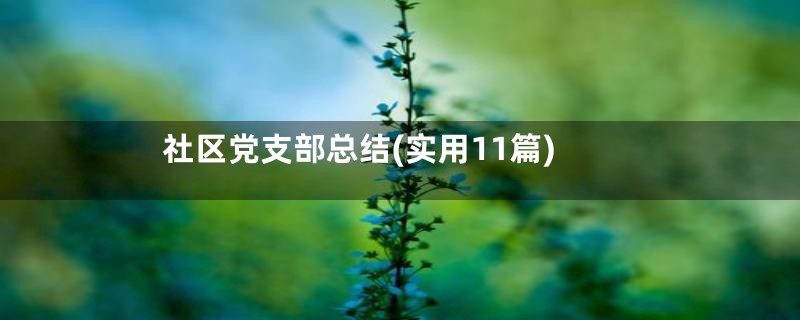 社区党支部总结(实用11篇)
