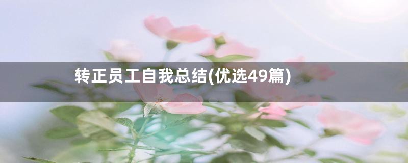 转正员工自我总结(优选49篇)