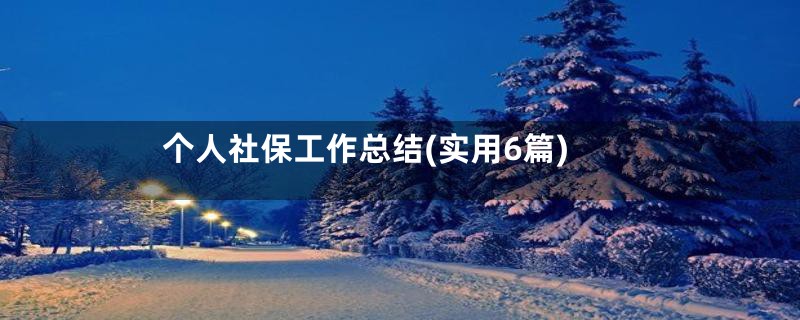 个人社保工作总结(实用6篇)