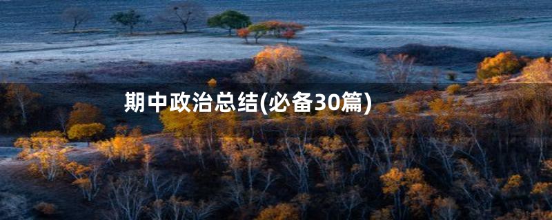 期中政治总结(必备30篇)