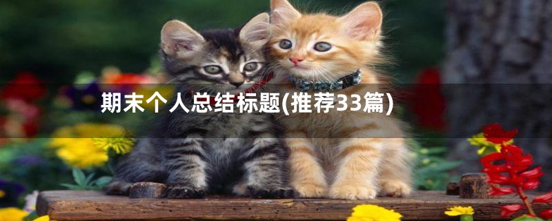 期末个人总结标题(推荐33篇)
