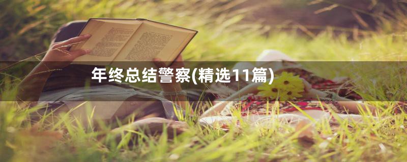 年终总结警察(精选11篇)