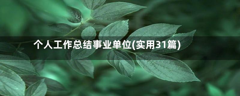 个人工作总结事业单位(实用31篇)