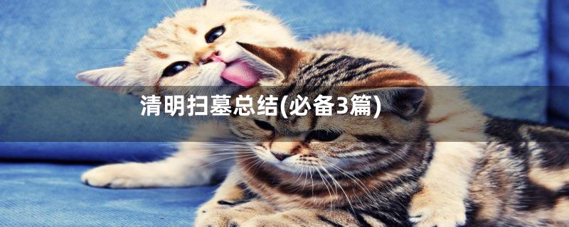 清明扫墓总结(必备3篇)