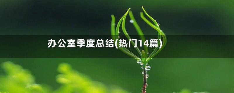 办公室季度总结(热门14篇)