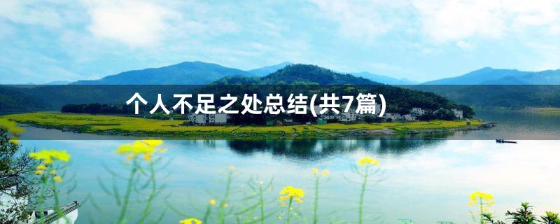 个人不足之处总结(共7篇)