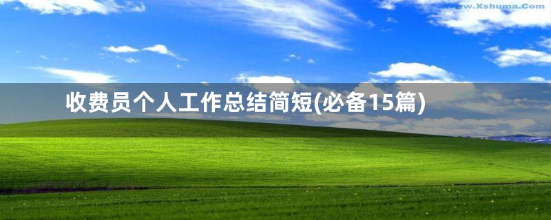 收费员个人工作总结简短(必备15篇)