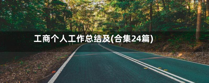 工商个人工作总结及(合集24篇)
