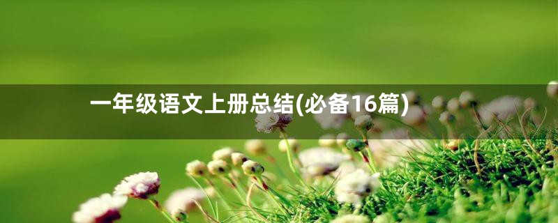 一年级语文上册总结(必备16篇)