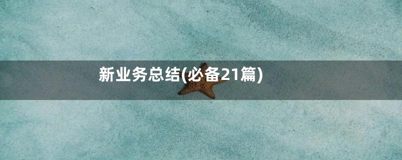 新业务总结(必备21篇)