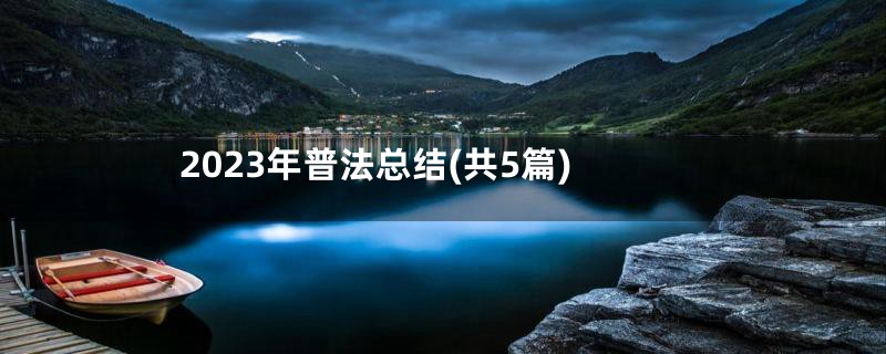 2023年普法总结(共5篇)