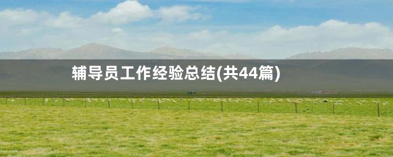 辅导员工作经验总结(共44篇)