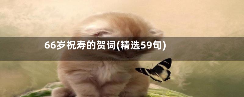66岁祝寿的贺词(精选59句)