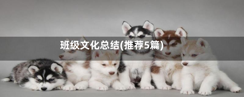 班级文化总结(推荐5篇)