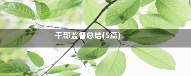 干部监督总结(5篇)