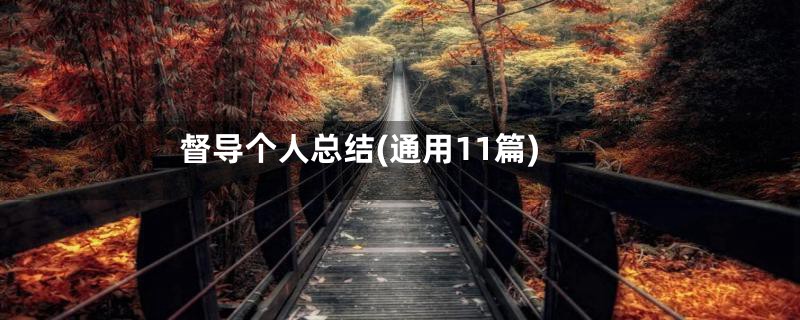 督导个人总结(通用11篇)