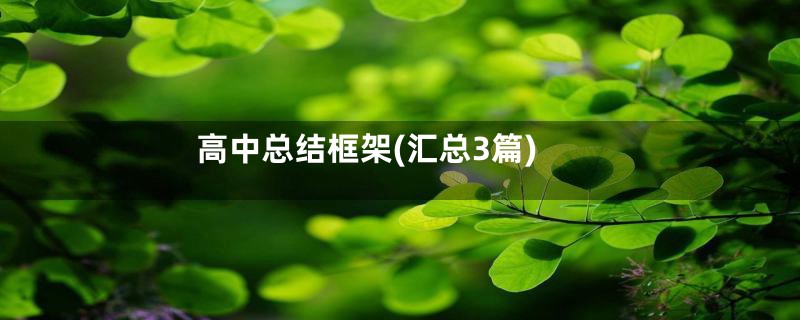 高中总结框架(汇总3篇)