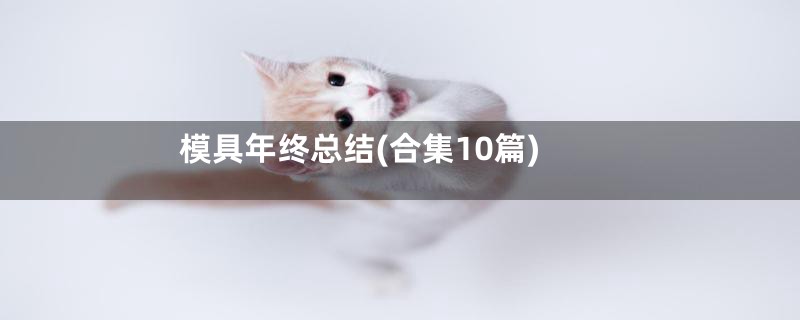 模具年终总结(合集10篇)