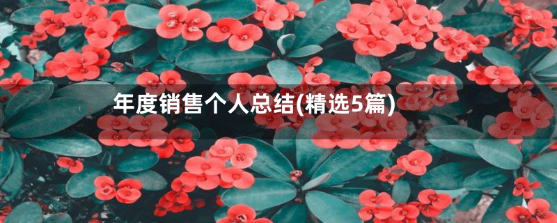 年度销售个人总结(精选5篇)