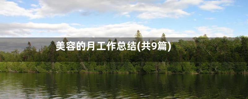 美容的月工作总结(共9篇)
