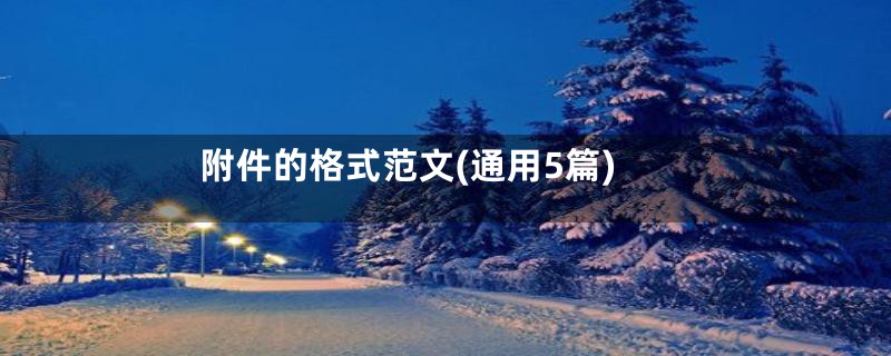 附件的格式范文(通用5篇)