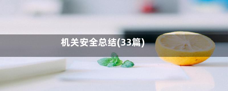 机关安全总结(33篇)