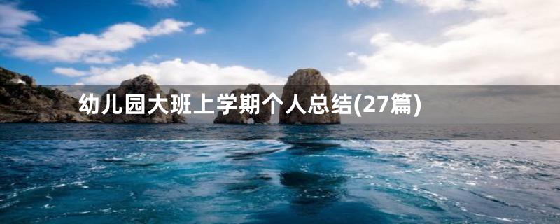 幼儿园大班上学期个人总结(27篇)