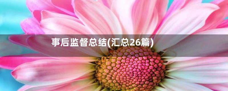 事后监督总结(汇总26篇)