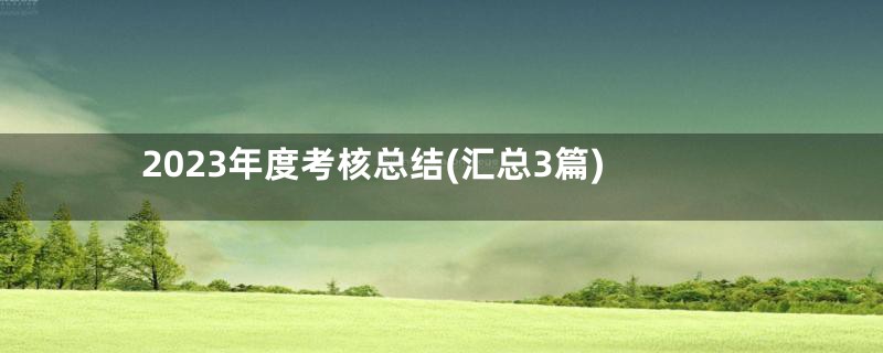 2023年度考核总结(汇总3篇)