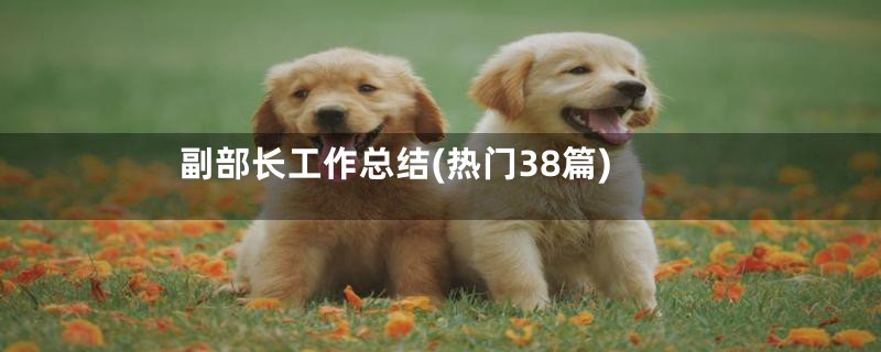 副部长工作总结(热门38篇)
