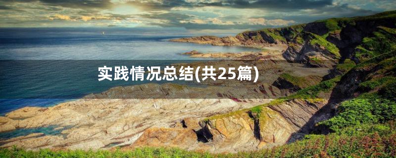 实践情况总结(共25篇)