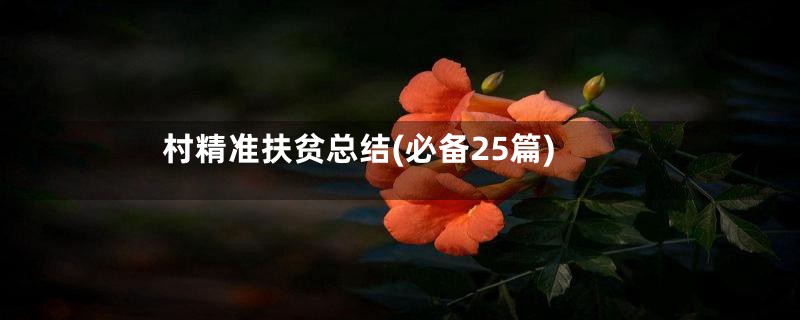 村精准扶贫总结(必备25篇)