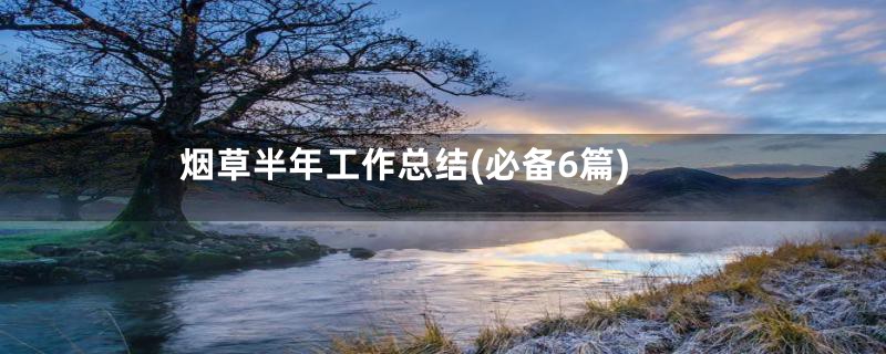 烟草半年工作总结(必备6篇)