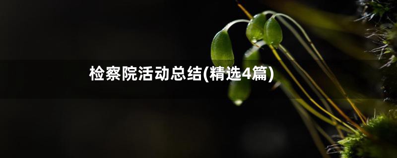 检察院活动总结(精选4篇)