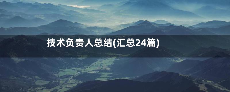 技术负责人总结(汇总24篇)