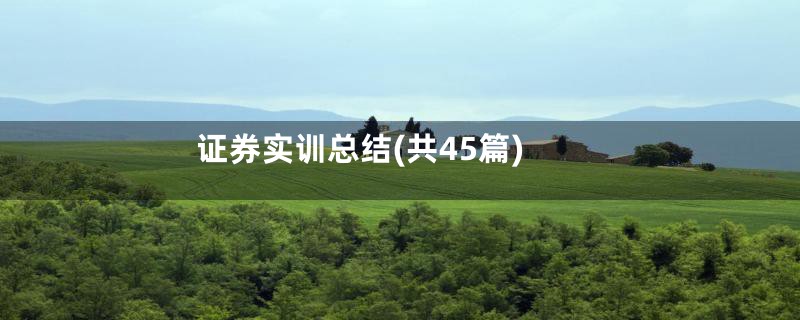 证券实训总结(共45篇)