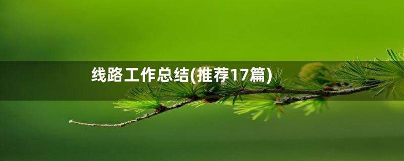 线路工作总结(推荐17篇)