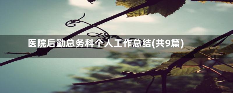医院后勤总务科个人工作总结(共9篇)