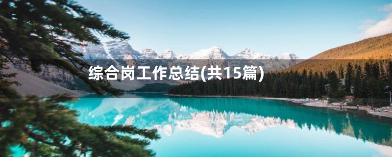 综合岗工作总结(共15篇)