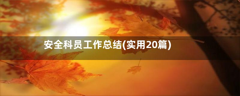 安全科员工作总结(实用20篇)