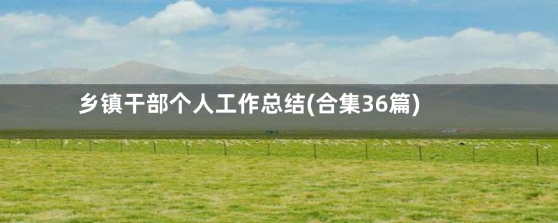 乡镇干部个人工作总结(合集36篇)