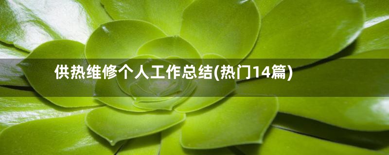 供热维修个人工作总结(热门14篇)