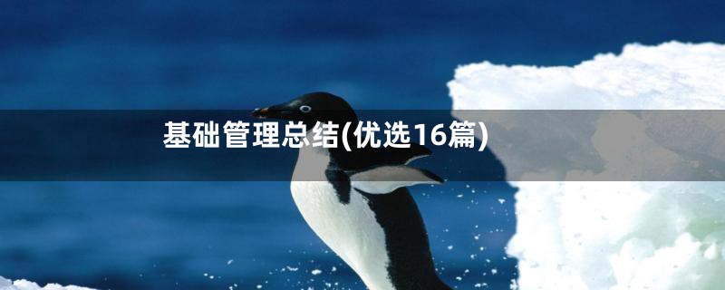 基础管理总结(优选16篇)