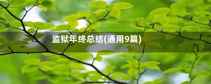 监狱年终总结(通用9篇)