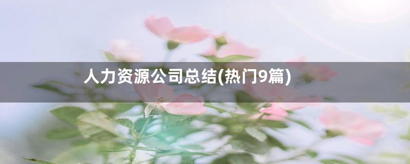 人力资源公司总结(热门9篇)